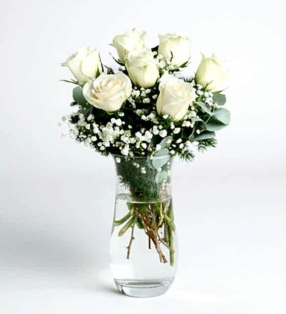 Sevgililer Günü'nde Alınabilecek Çiçekler / Beyaz Gül