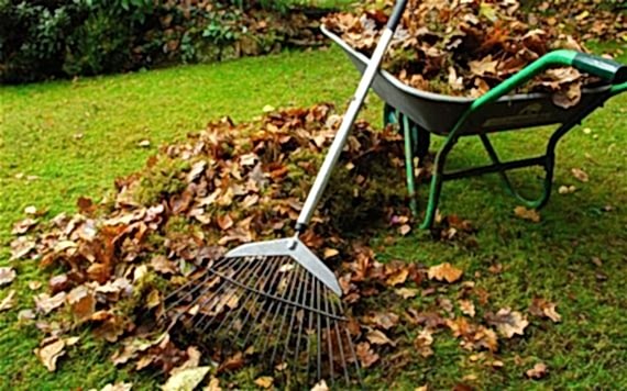 bahce bakimi compress