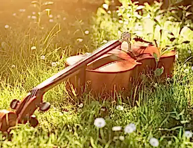 içinde çiçek geçen şarkılar