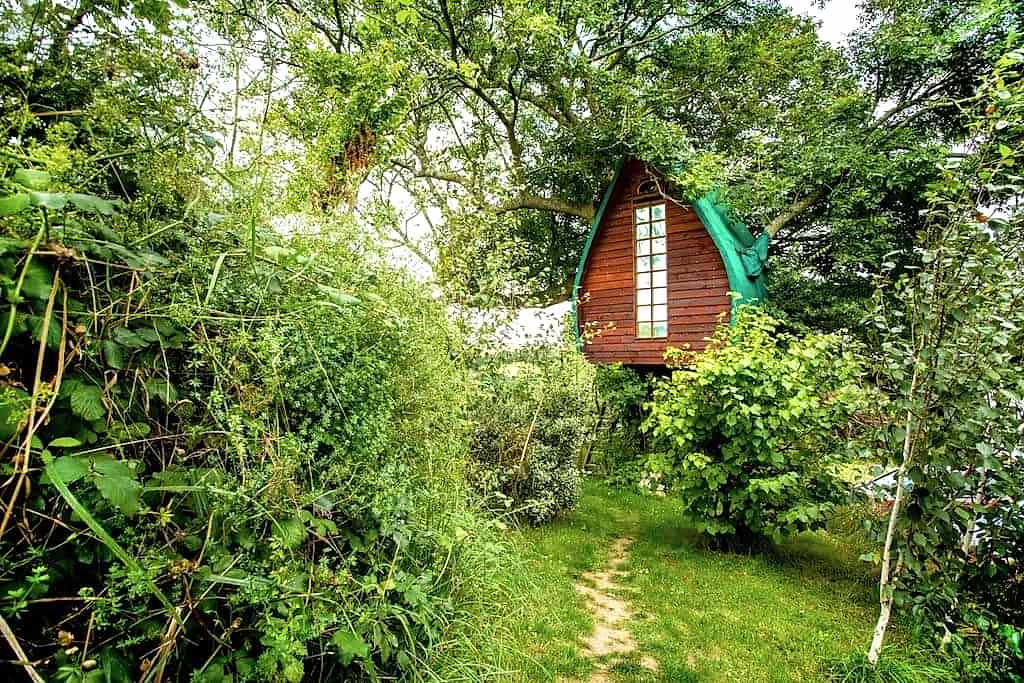 Tree Sparrow House Cornwall compress