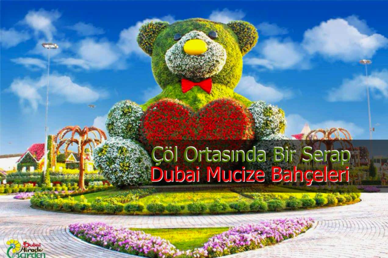 miracle garden compress