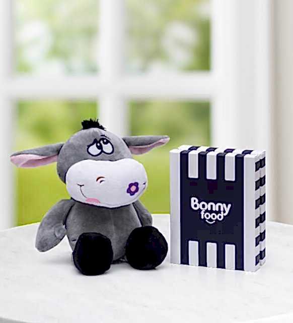 Sevgiliye pelüş ayıcık - tatlı eşek pelüş