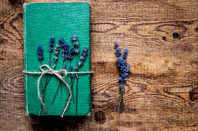 en iyi bitki kitaplari