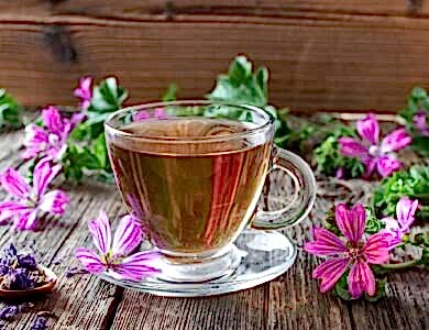 ebegumeci kullanim alanlari