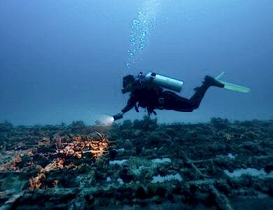 dalis nedir nasil yapilir