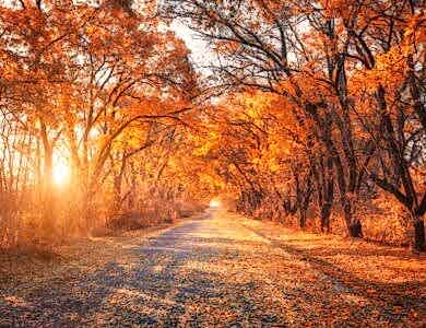 sonbahar sozleri kisa
