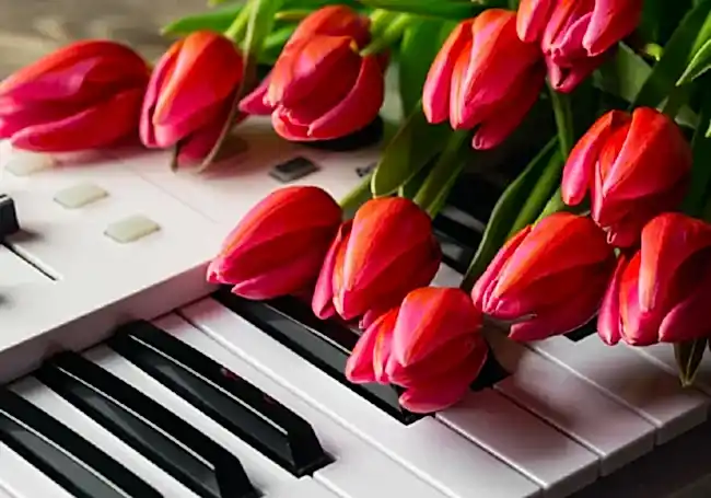 yabancı öğretmenler günü şarkıları