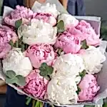 isteme çiçeği trendleri