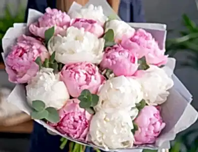 isteme çiçeği trendleri