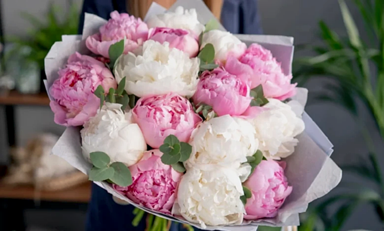 isteme çiçeği trendleri