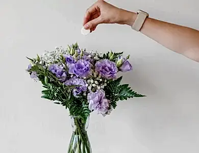 kesme çiçek bakımı nasıl yapılır?