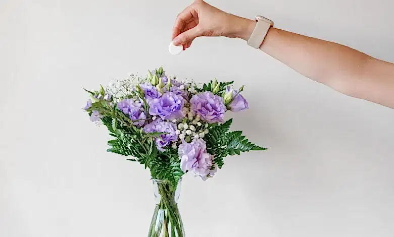 kesme çiçek bakımı nasıl yapılır?