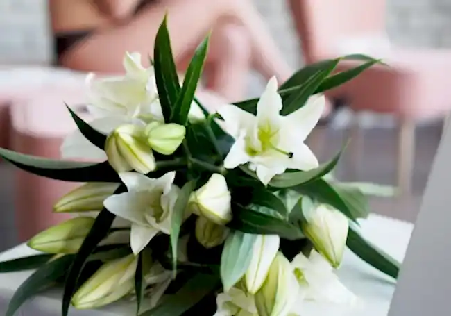 kesme çiçek lilyum bakaımı