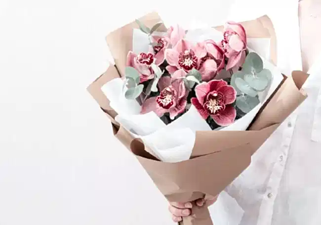 kesme çiçek orkide bakımı