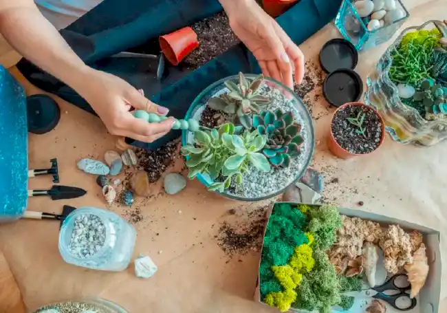 teraryum için bitkiler